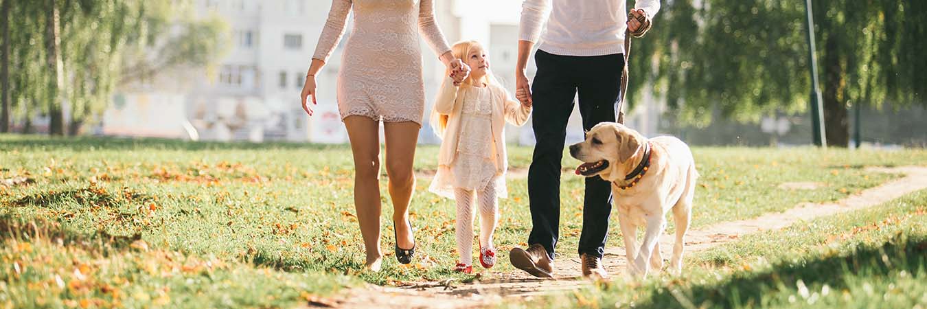 A family with a golden retriever in a park.