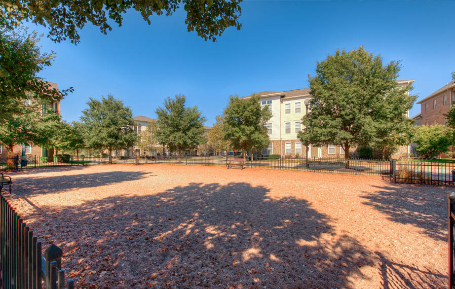 Let your dog run in a dog park, like the one at Legacy apartments in Carmel. Wide open dog park at Westfield apartments.